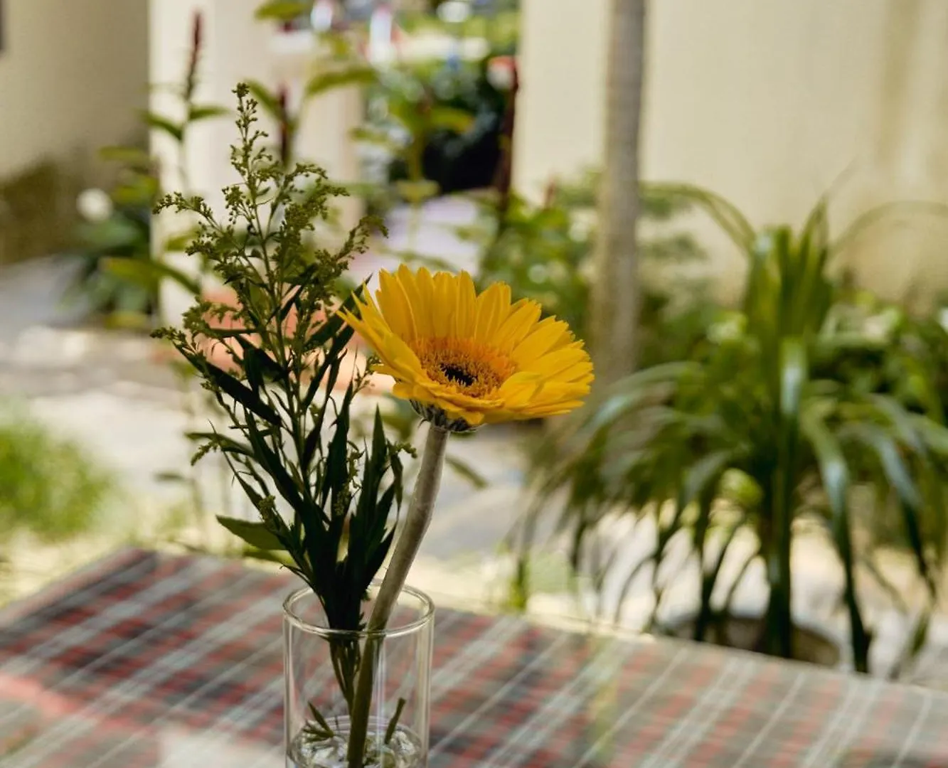 Hoi An Holiday Villa